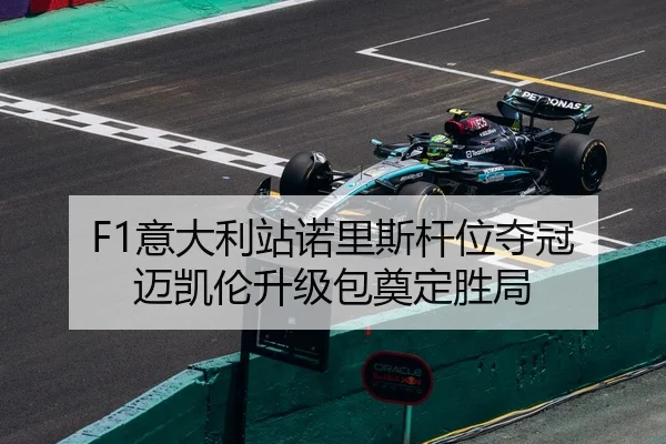 F1意大利站诺里斯杆位夺冠 迈凯伦升级包奠定胜局